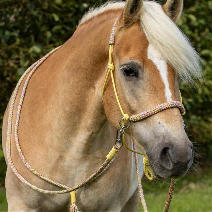 Touwhalsterverkoop - Touwhalster set rijhalster + teugels + neckrope 'Rainbow Dash' pastelgeel/ regenboog