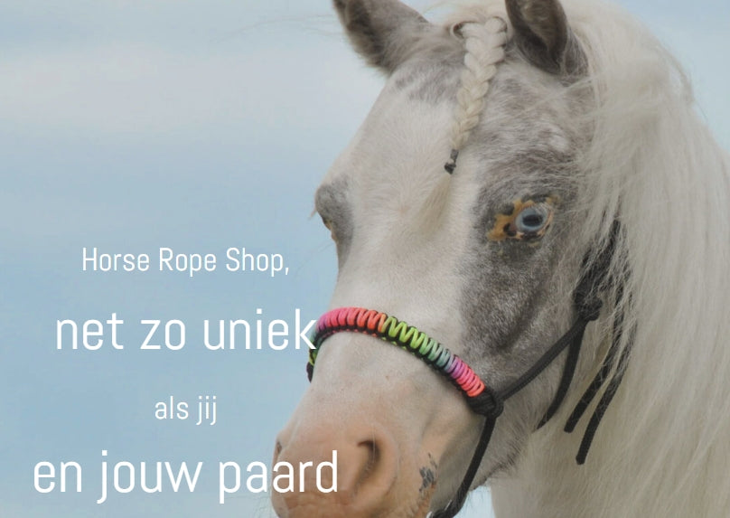 Horse Rope Shop - Seilhalfter Regenbogen 'Black Rainbow'