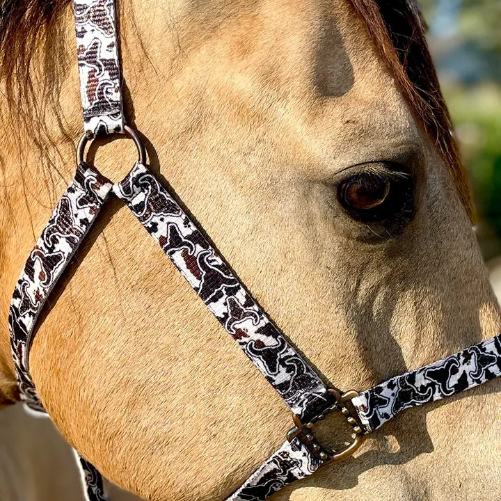 OP=OP - Schulz Equine - Halster Cattle drive