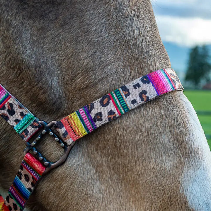 Schulz Equine - Halster Leopard serape