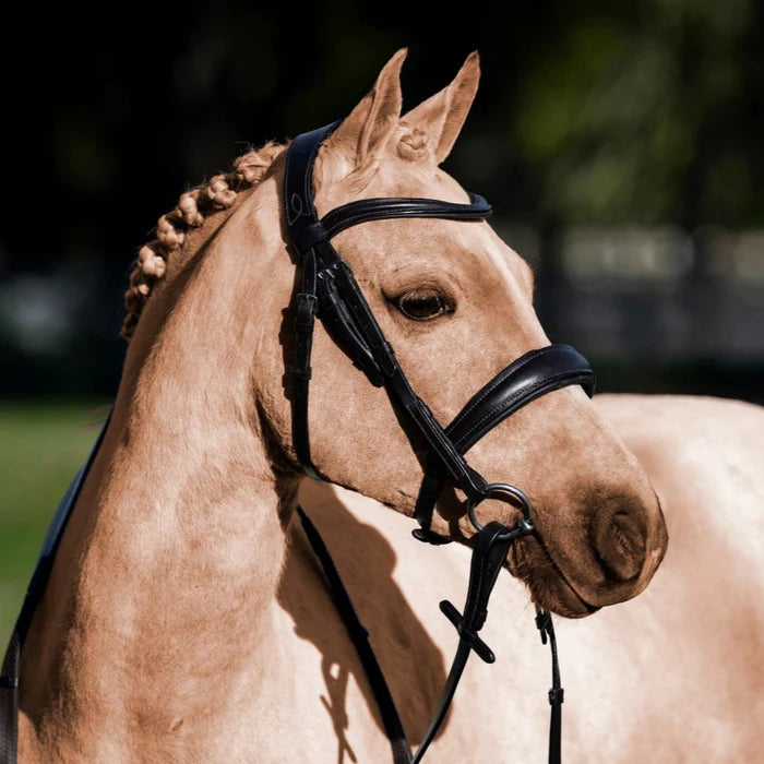 Lumi Pony - Mikayla hoofdstel Havana bruin of zwart (convertible)