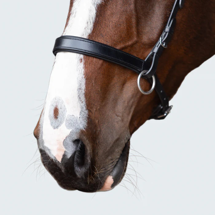 Lumiere - Seline bitless bridle