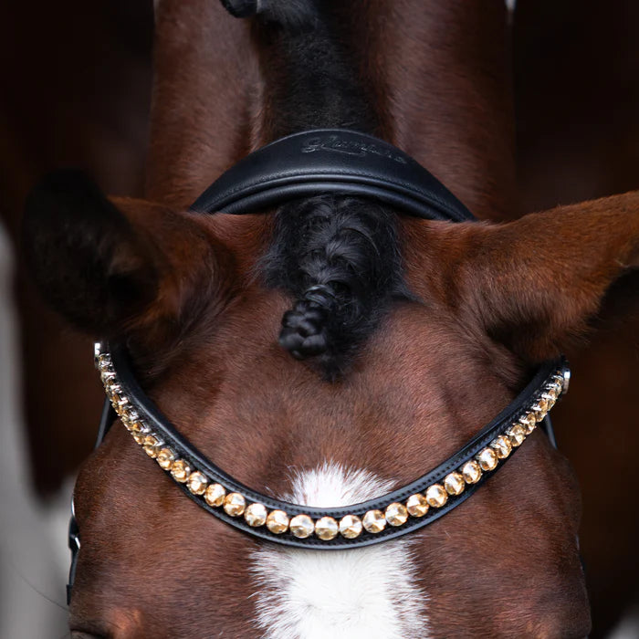 Lumiere - Seline bitless bridle