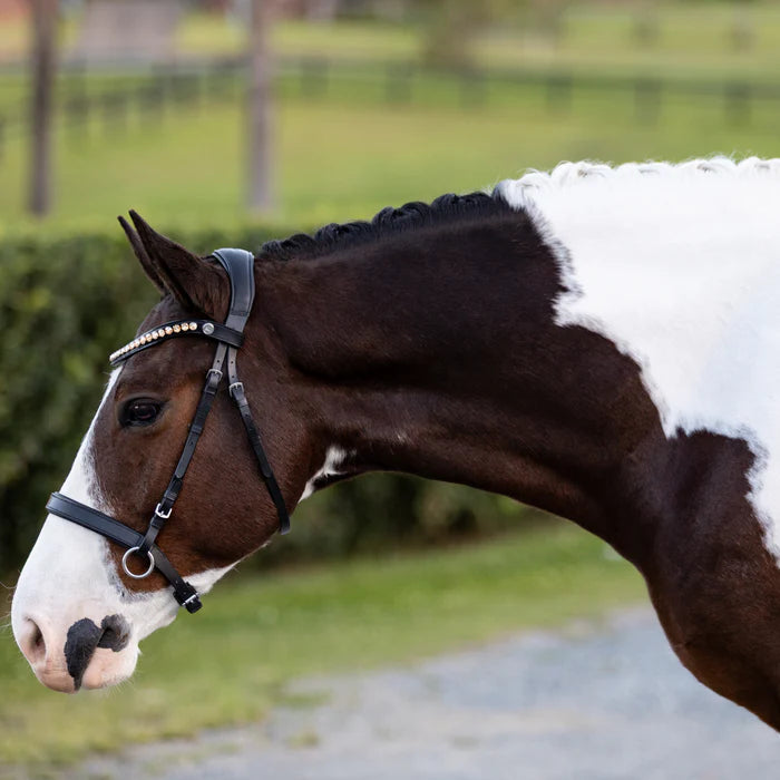 Lumiere - Seline bitless bridle
