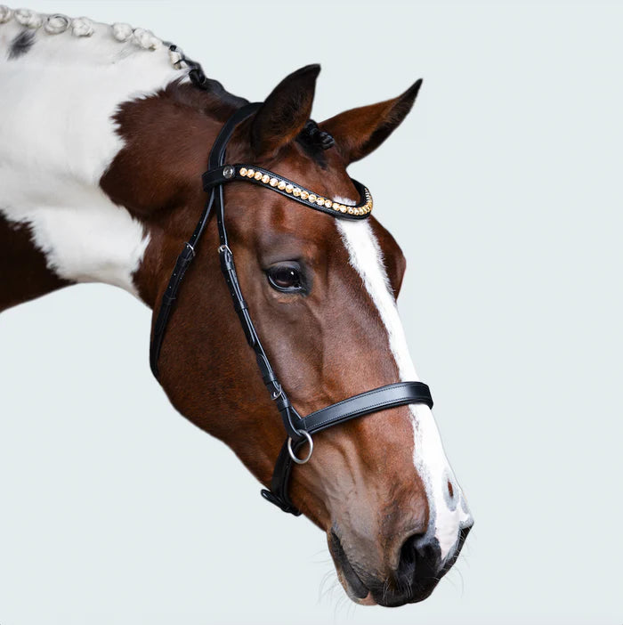 Lumiere - Seline bitless bridle