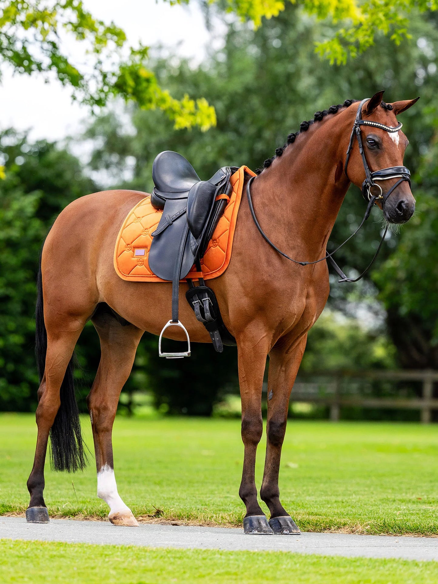 Equestrian Stockholm - FW26 Chestnut - Dressage Saddle Pad Velvet dressuurzadeldek
