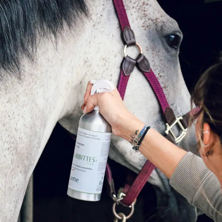Balsame - Le Chasse-bibittes insectenspray