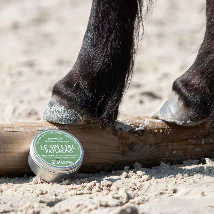 Balsam – Le Spécial Paturons Kugelsalbe