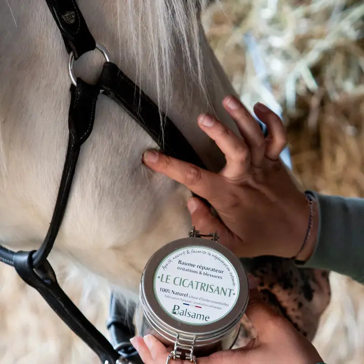 OP=OP - Balm - Le Cicatrisant healing recovery balm