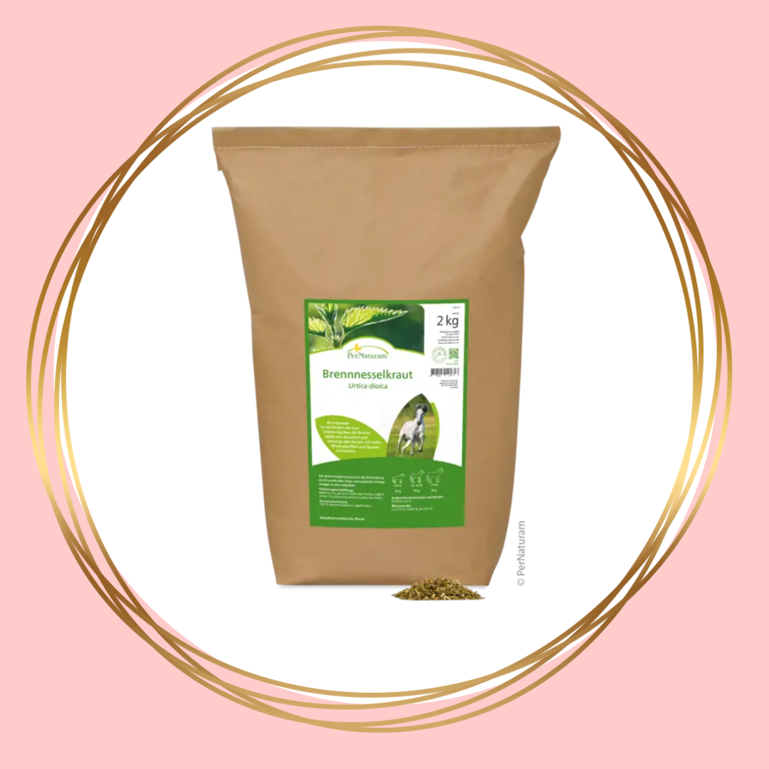 PerNaturam | Brennesselkraut (brandnetelkruid)