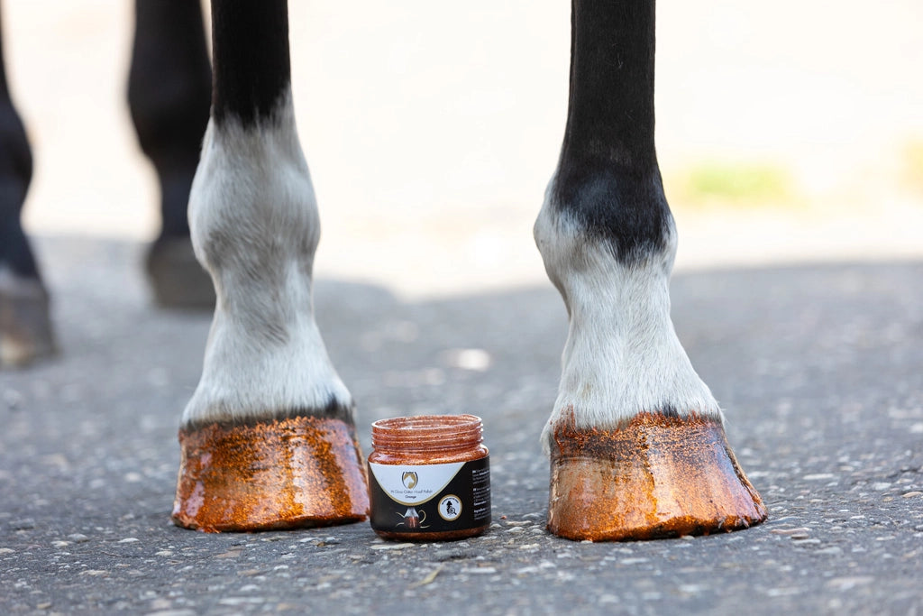 Excellent Horse - Hi Gloss glitter hoeflak 150ml (diverse kleuren)