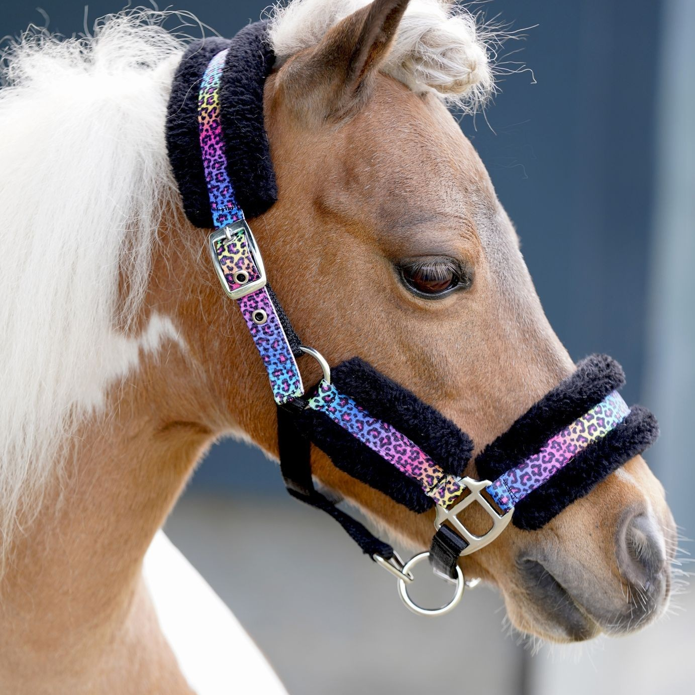 OP=OP - HB - Halster Funny Luipaard regenboog kleine maatjes