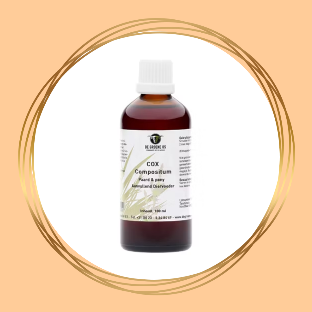 De Groene Os | COX Compositum