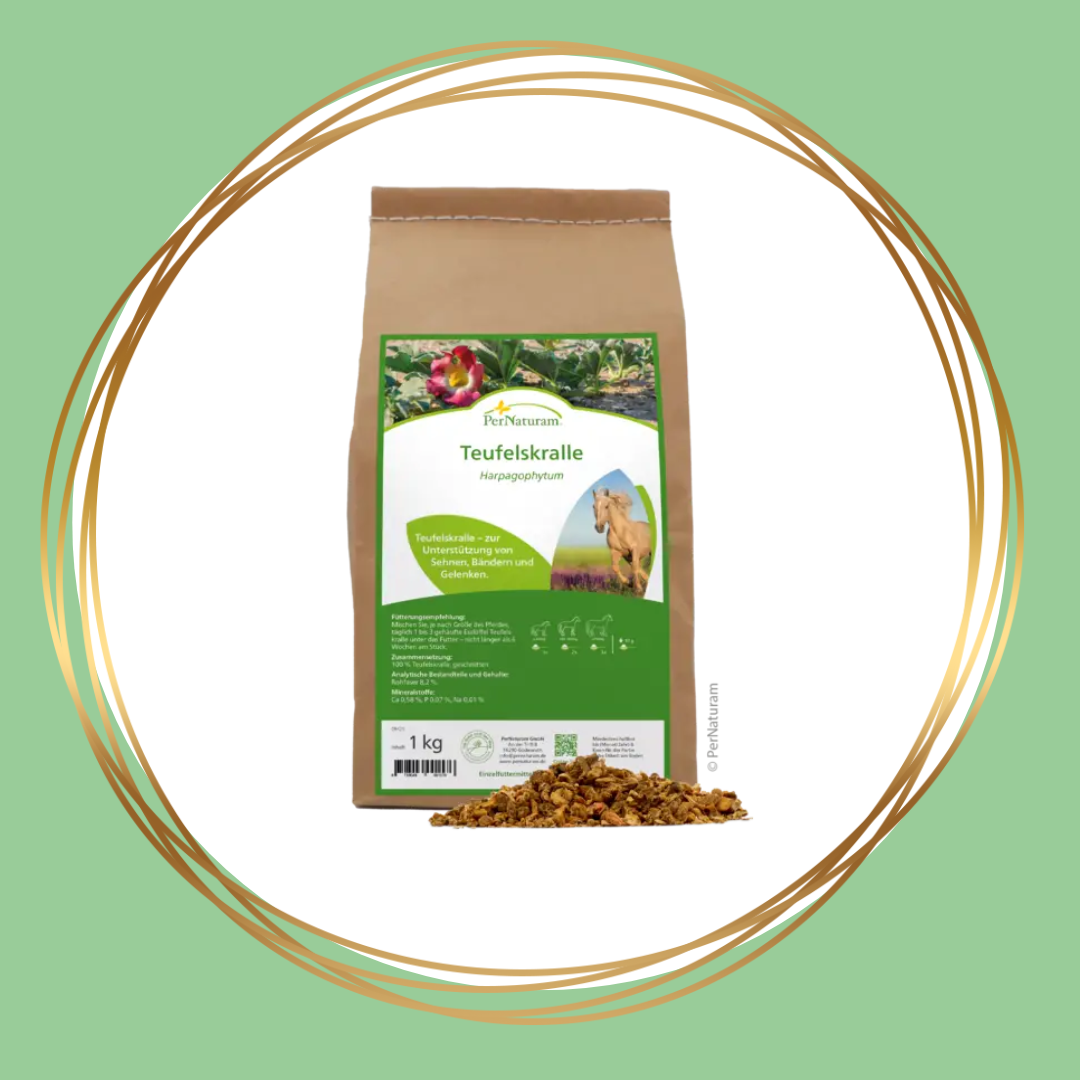 PerNaturam | Teuffelskralle (duivelsklauw)