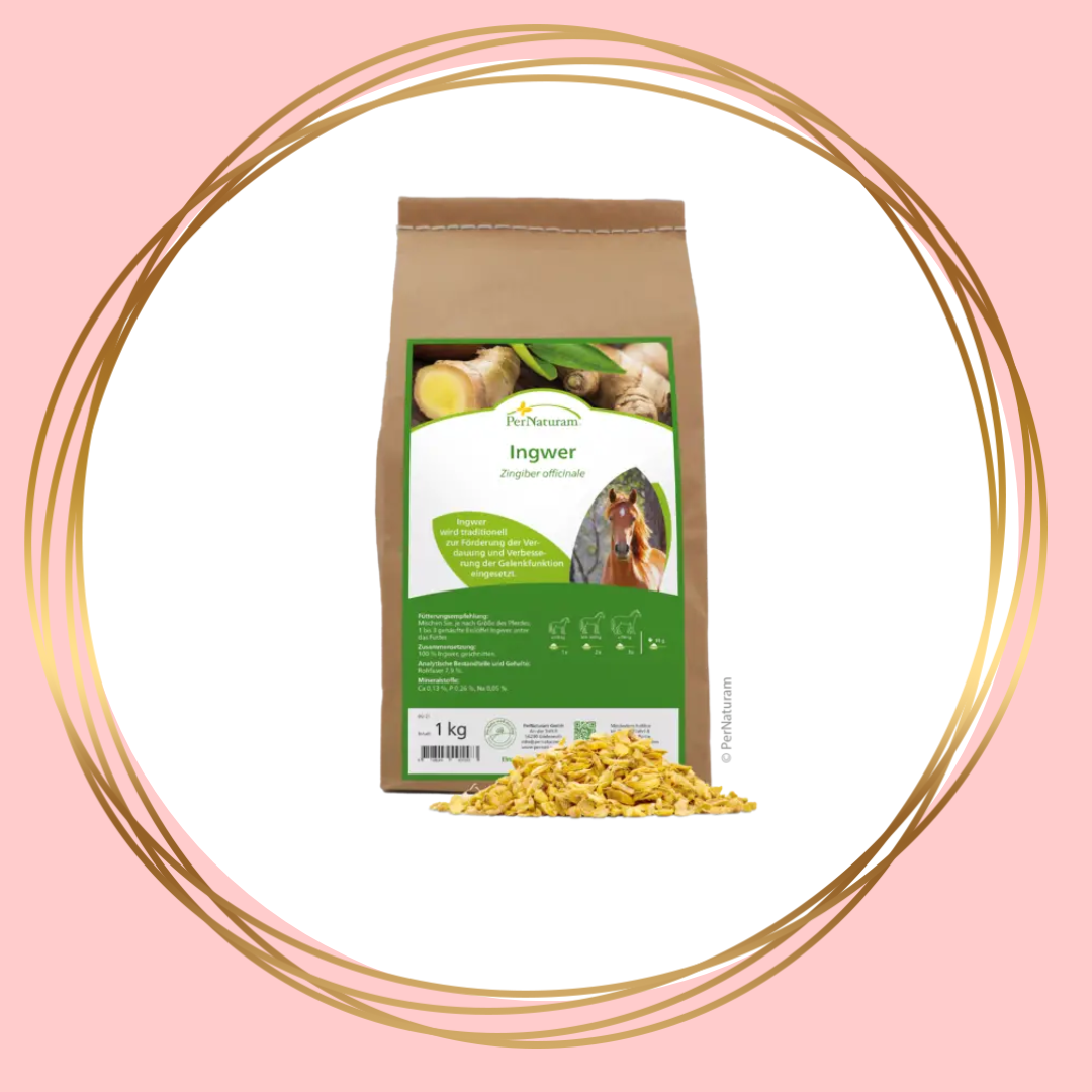 PerNaturam | Ingwer (gember)