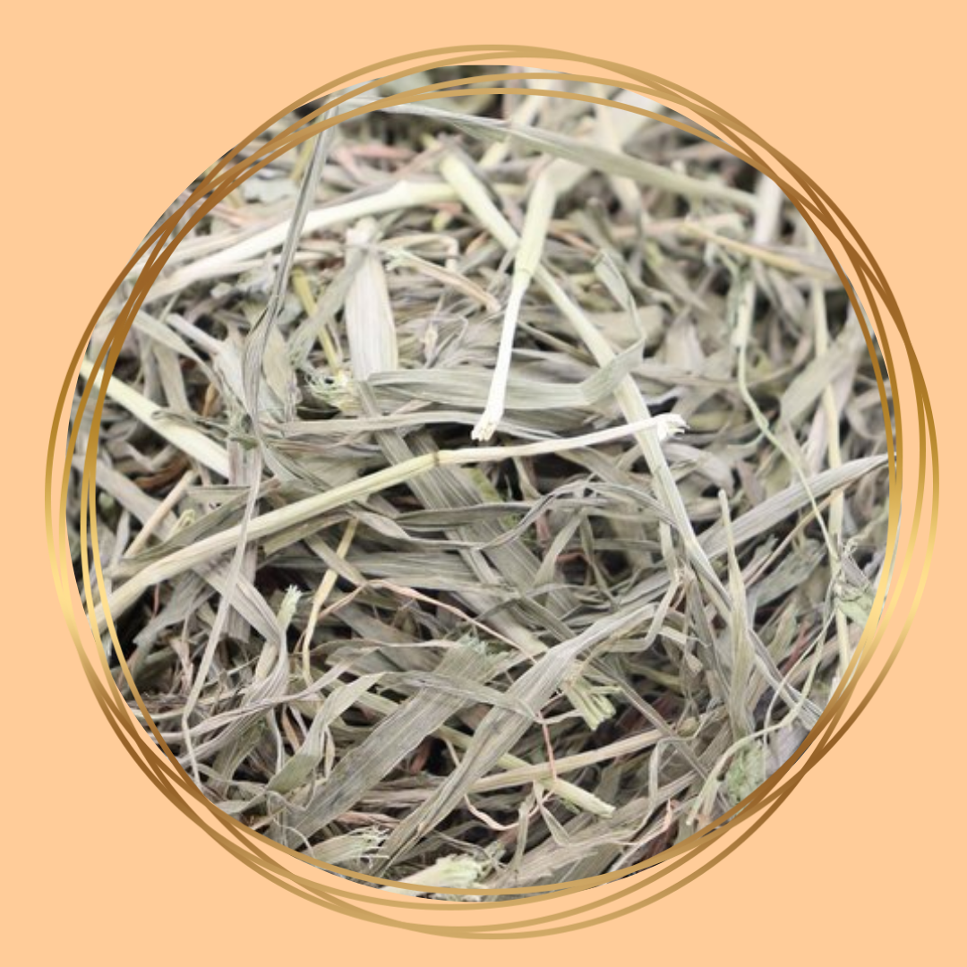 Herbimals | Gerstegras