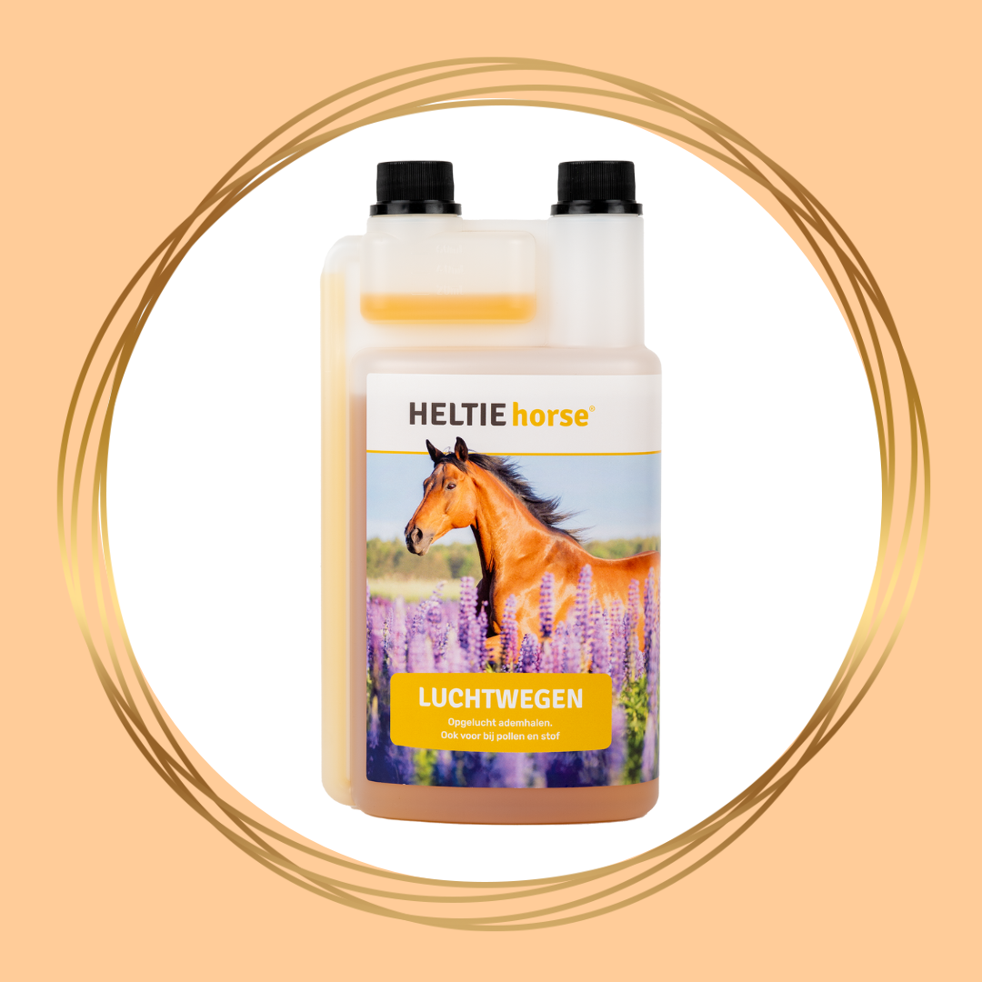 HELTIE Horse | Luchtwegen
