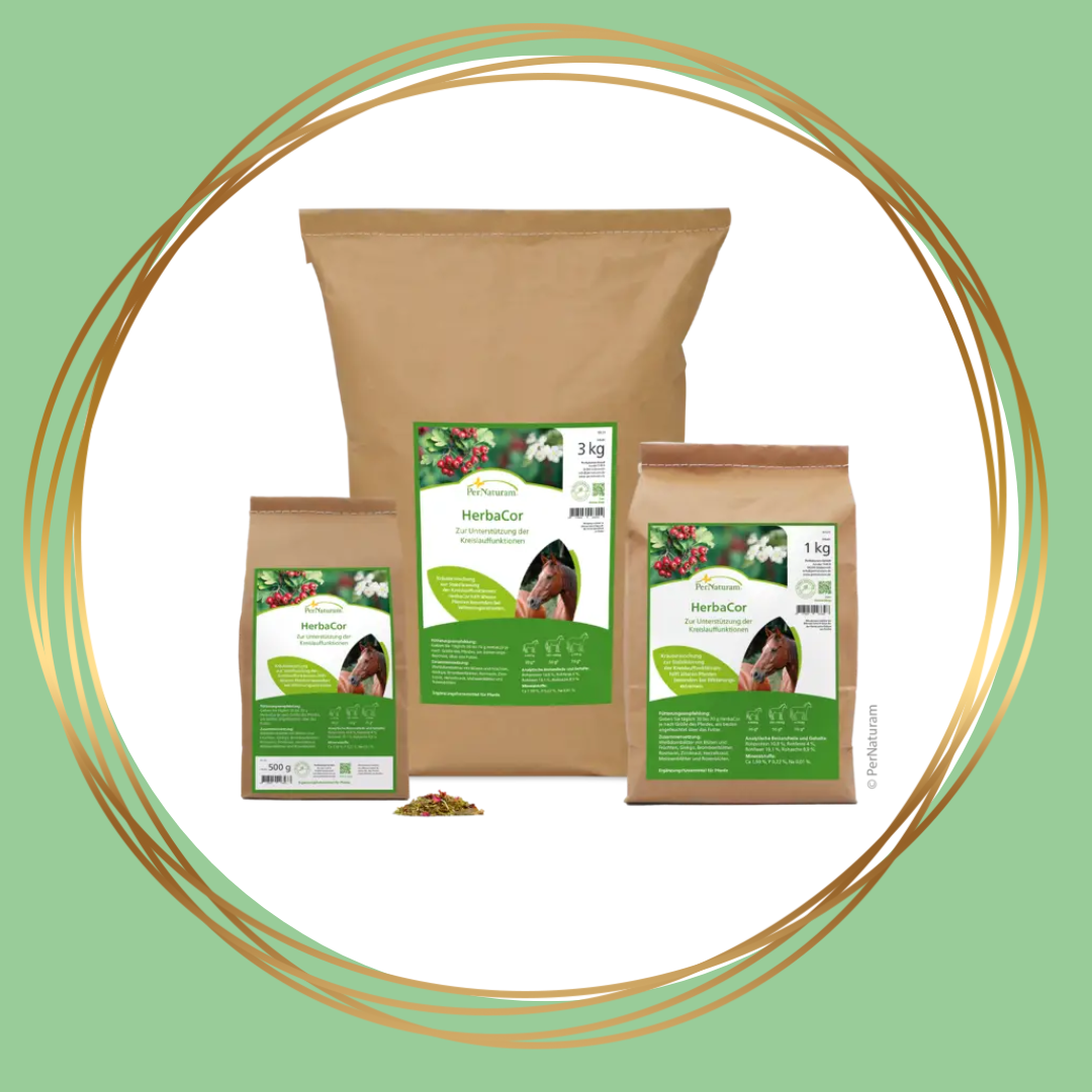 PerNaturam | HerbaCor (stimuleert de bloedsomloop en hartactiviteit)