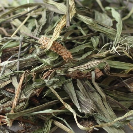 Herbimals | Smalle Weegbree (grof)