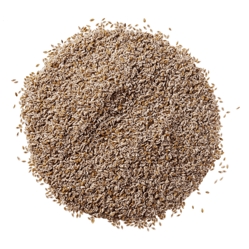 HorseFlex | Vlozaad (psylliumzaad)