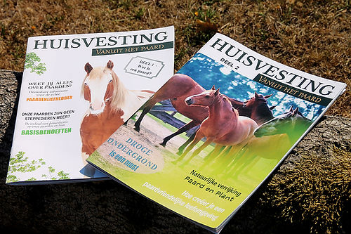 Huisvesting vanuit het paard | Magazine deel 2