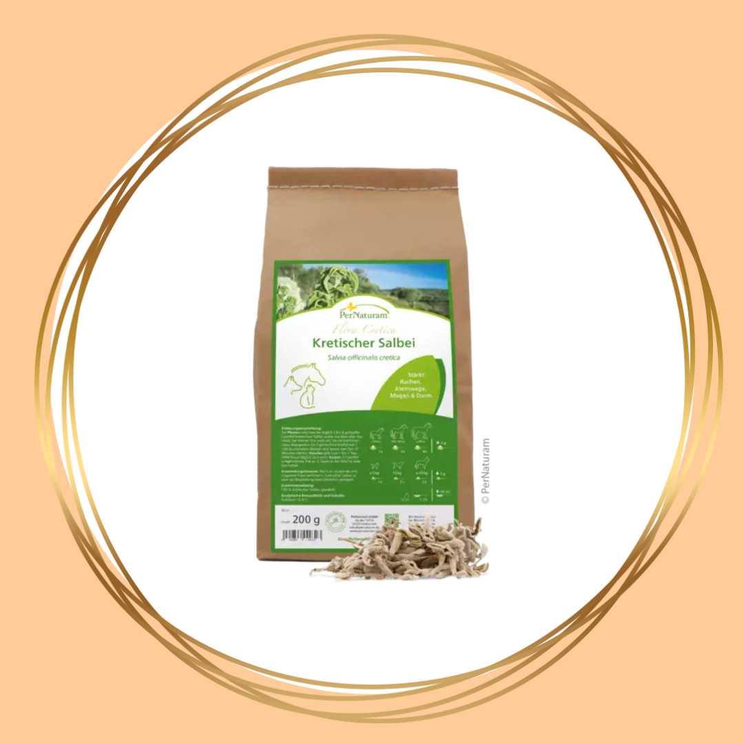 PerNaturam | Kretischer Salbei (kretenzische salie)