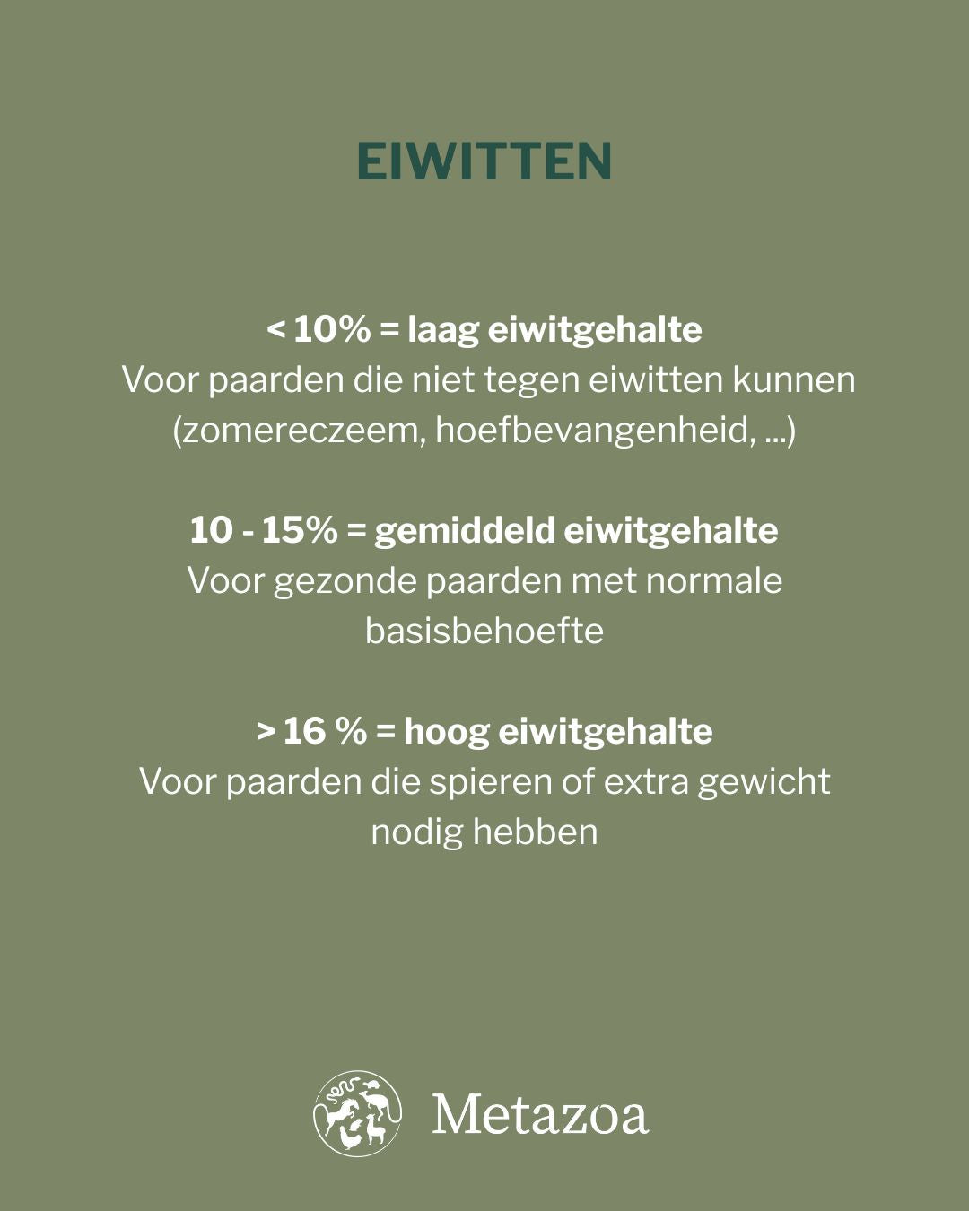 Metazoa | BalanceFit Timothee (voorheen: Fitright Timothee)