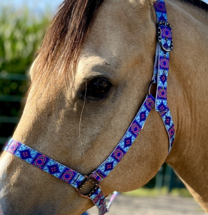 OP=OP - Schulz Equine - Halster Aztec Bubblegum