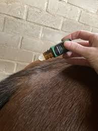 Paardenzorg | High-Immune Olieroller