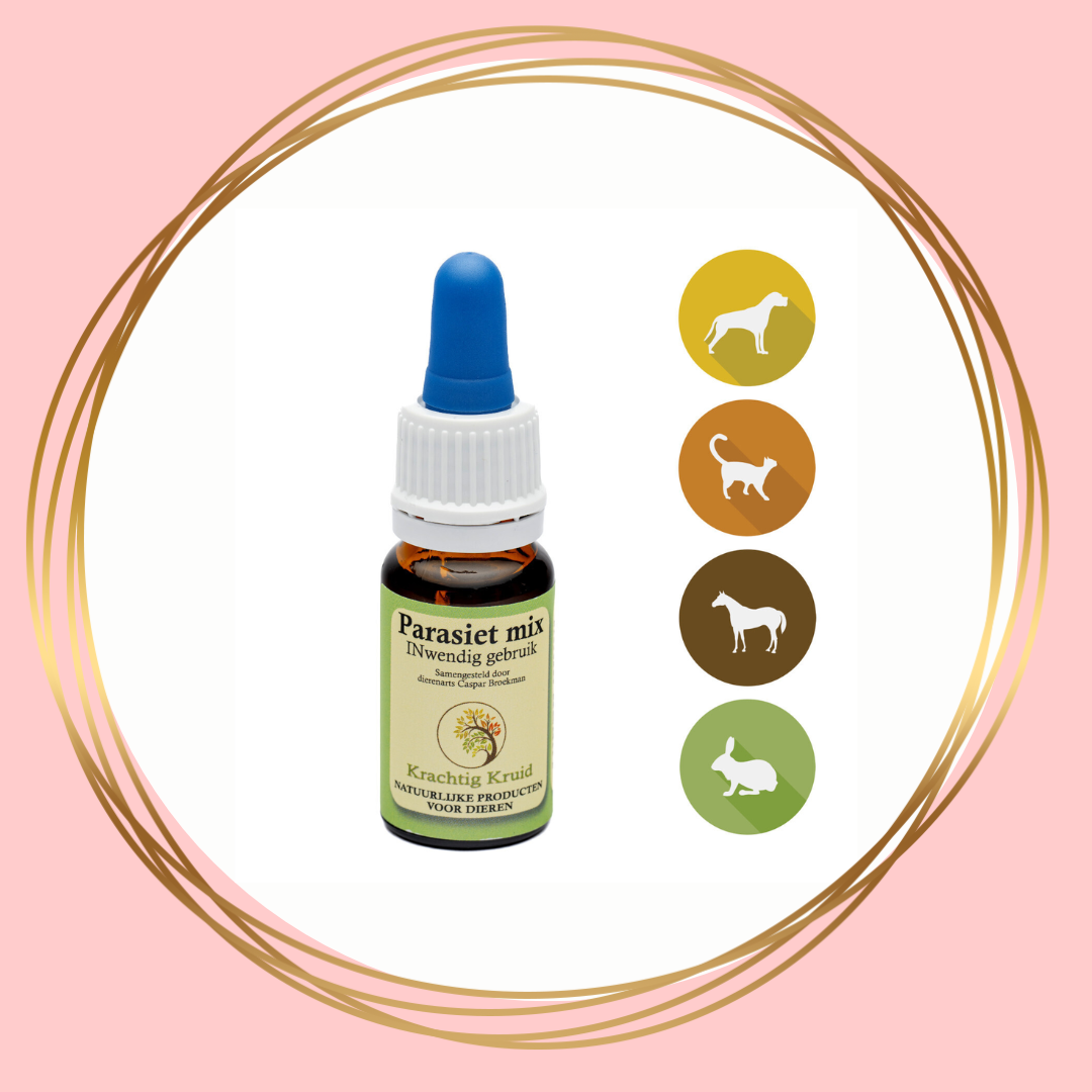 Krachtig Kruid | Parasietmix voor inwendig gebruik
