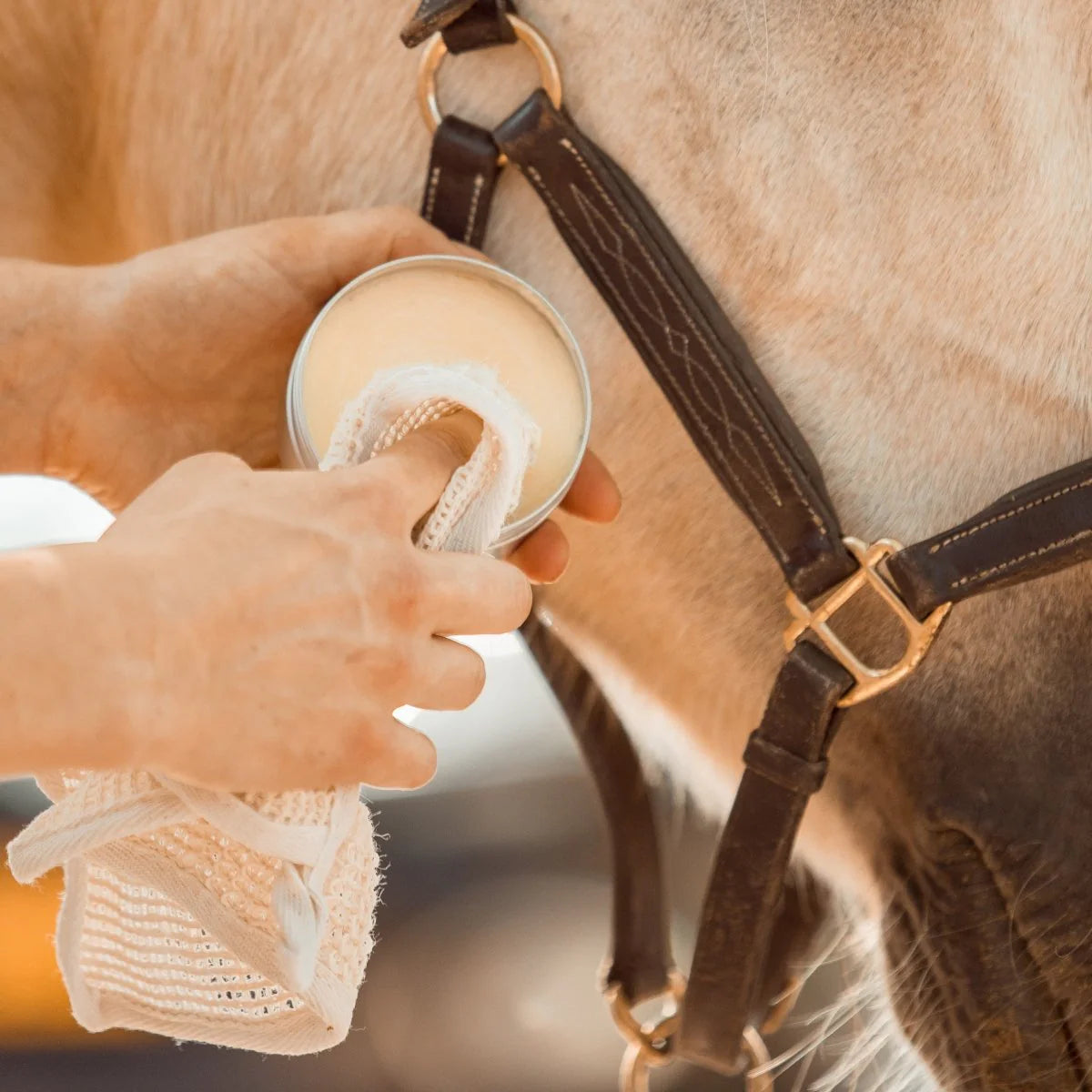 Pippa - Leather & Care lederwax