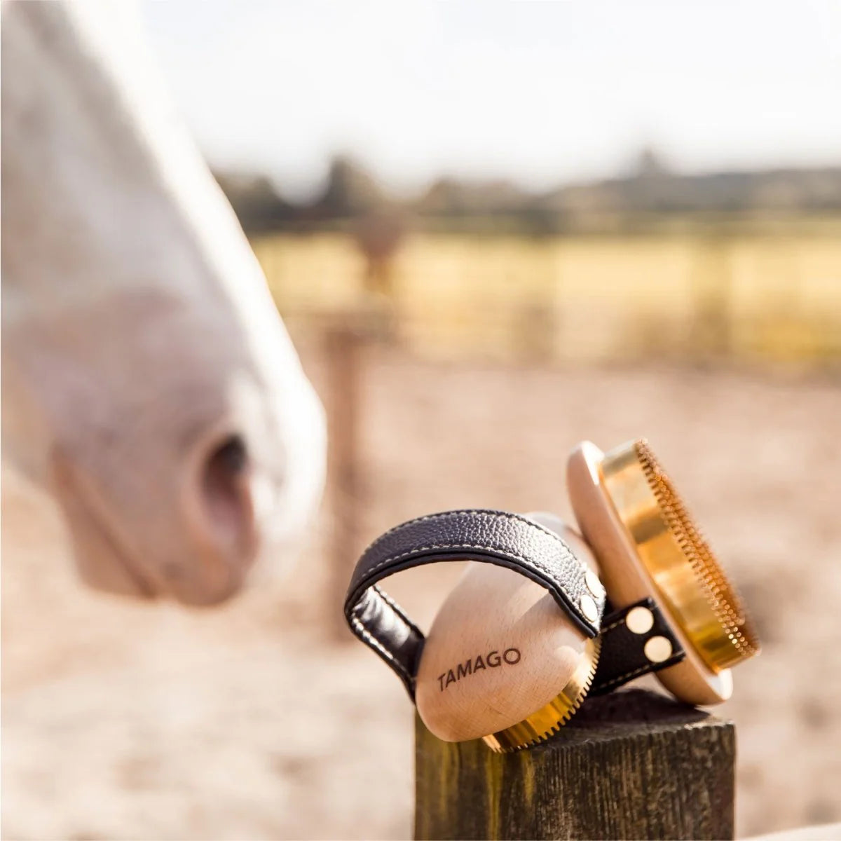 PIPPA - Paardenborstel Metalen Rosborstel