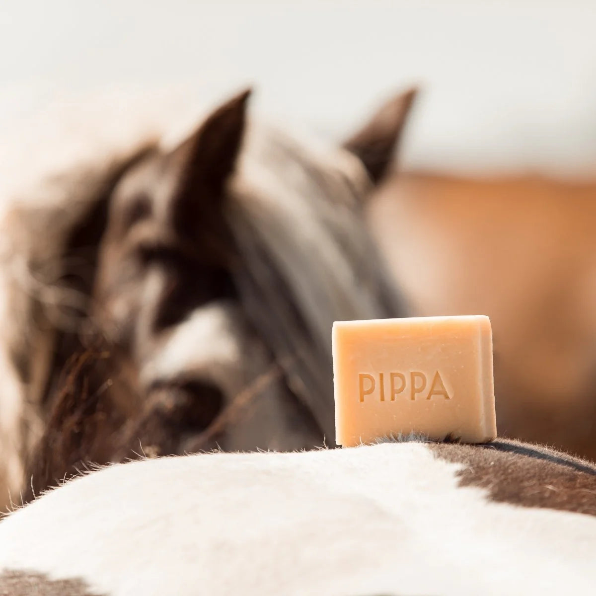Pippa - Lemongrass & Mint Shampoo Bar