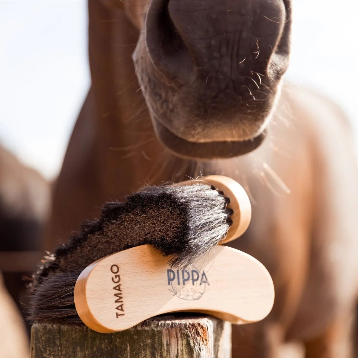 PIPPA - Paardenborstel Zachte Flick Borstel
