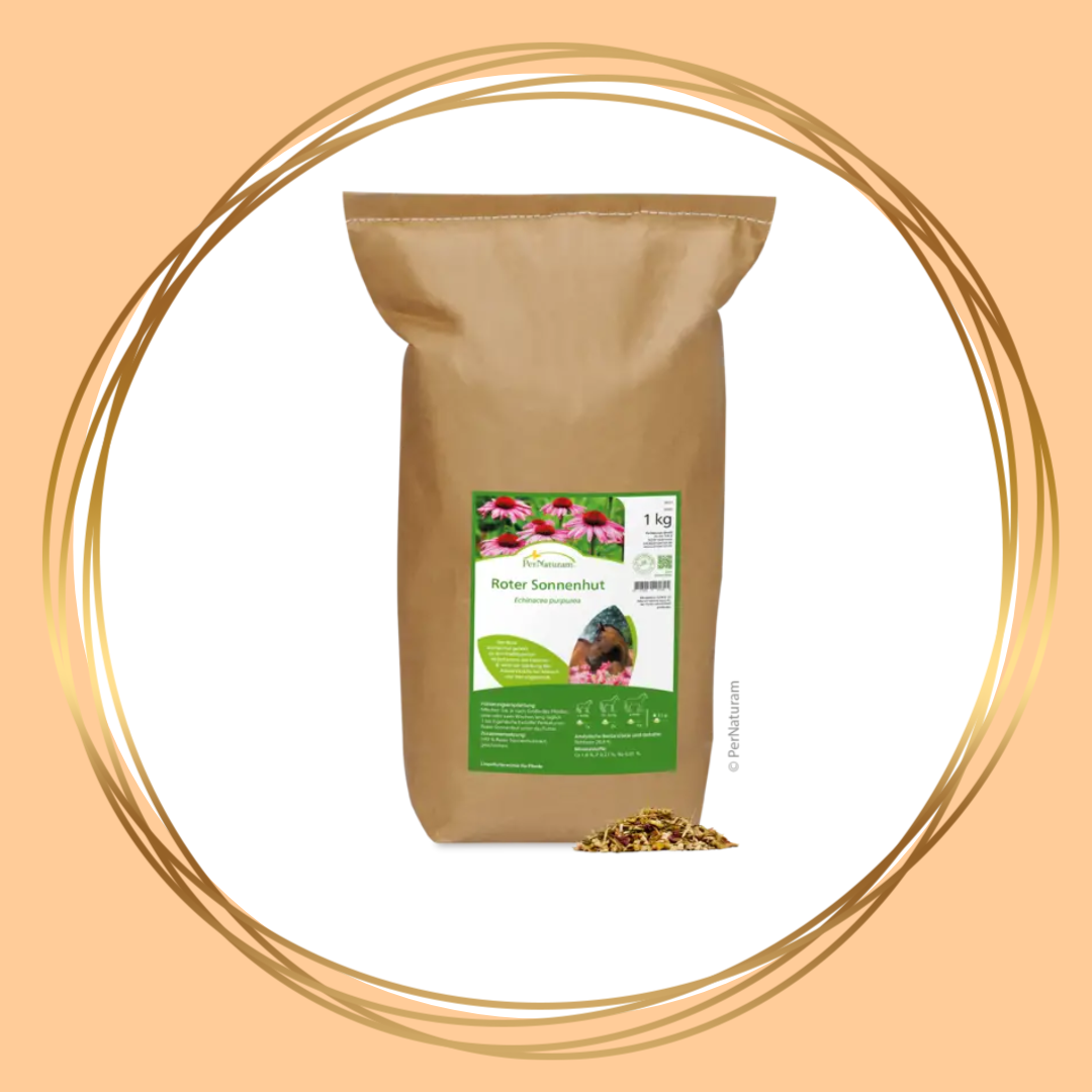PerNaturam | Roter Sonnenhut (rode zonnehoed/echinacea)