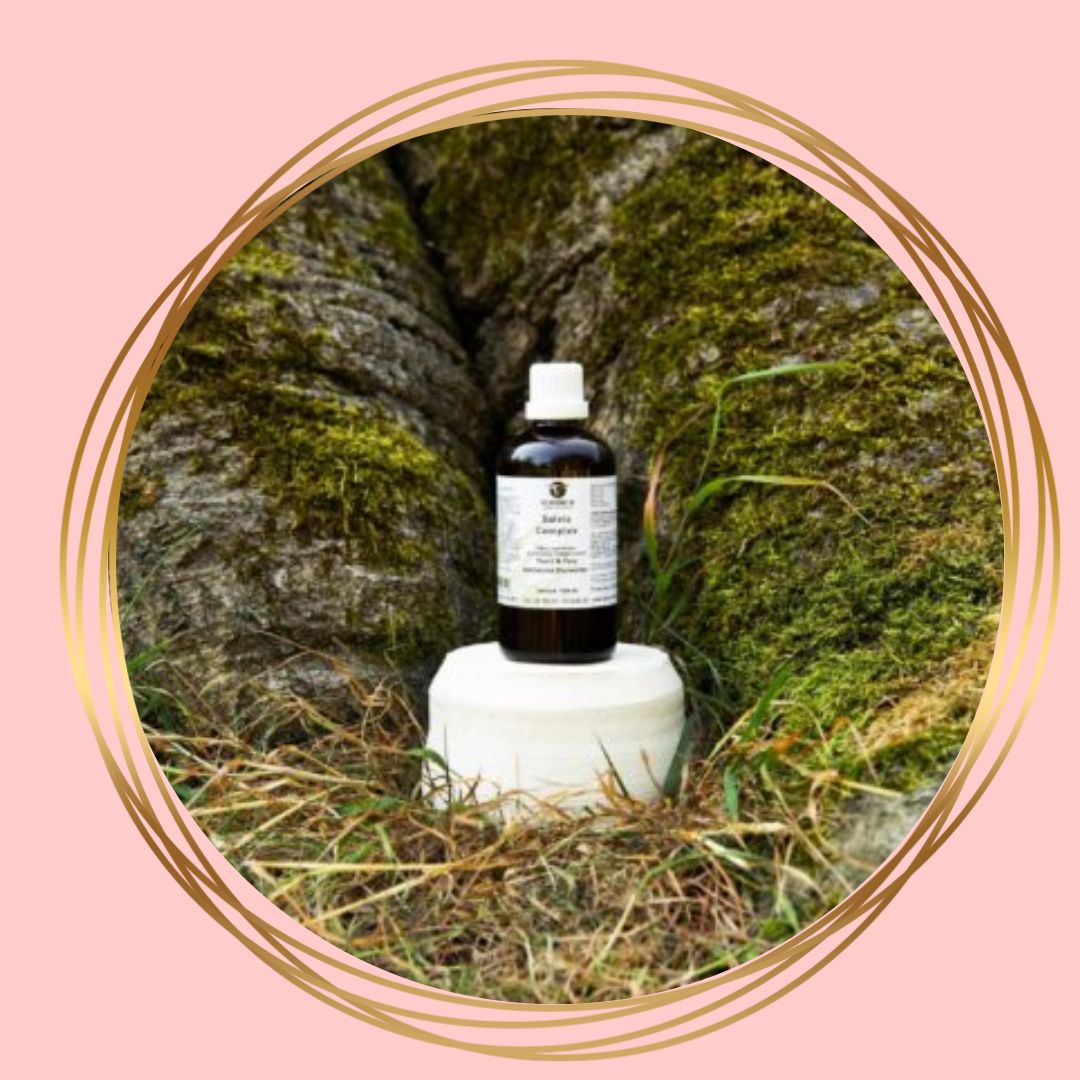 De Groene Os | Salvia Complex