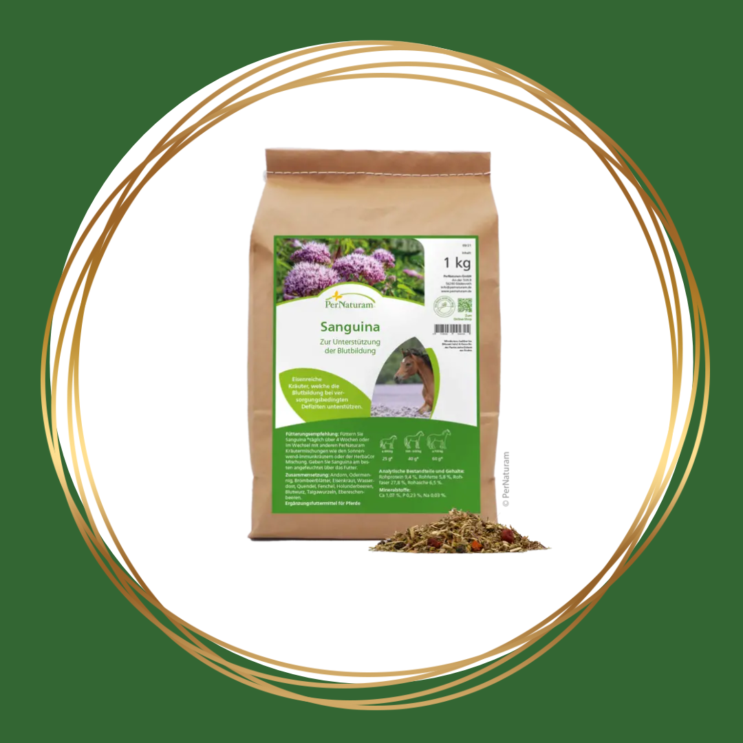 PerNaturam | Sanguina (ondersteunt de bloedvorming en zuurstofvoorziening)