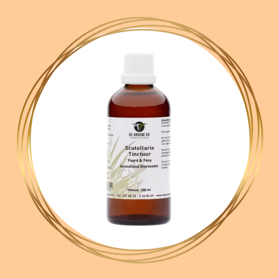 De Groene Os | Scutellaria Tinctuur