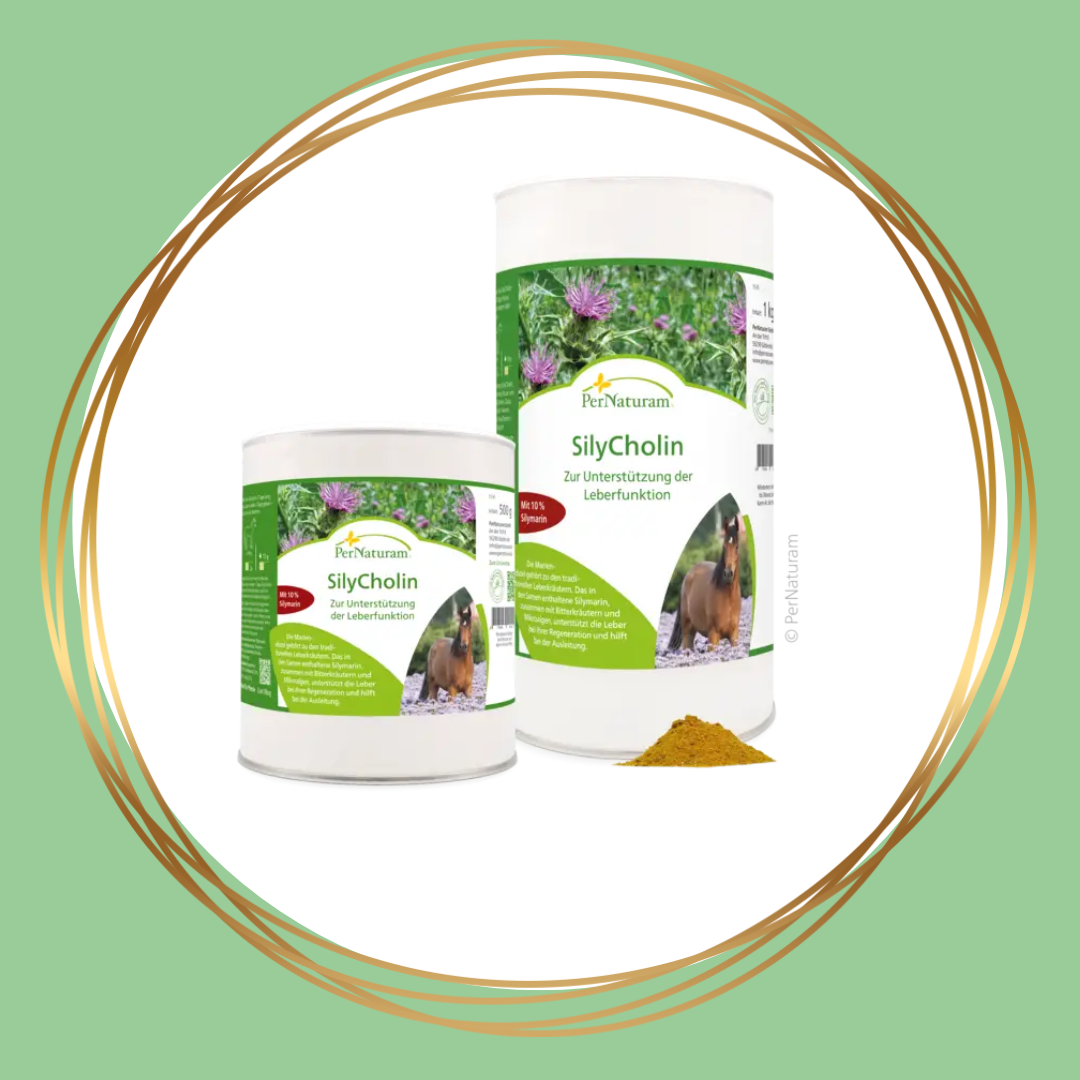 PerNaturam | SilyCholin (leverkruiden)
