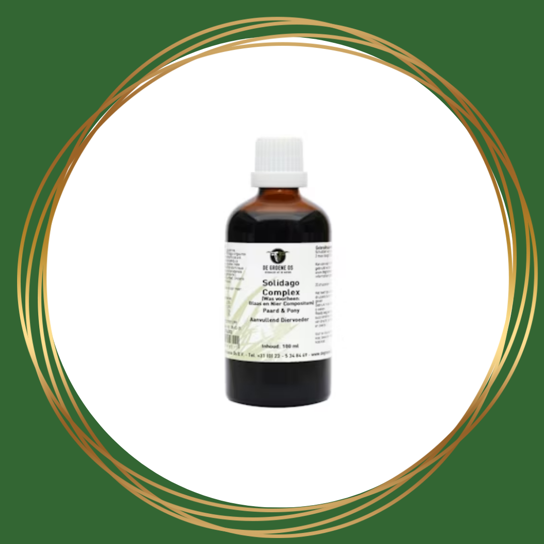 De Groene Os | Solidago Complex
