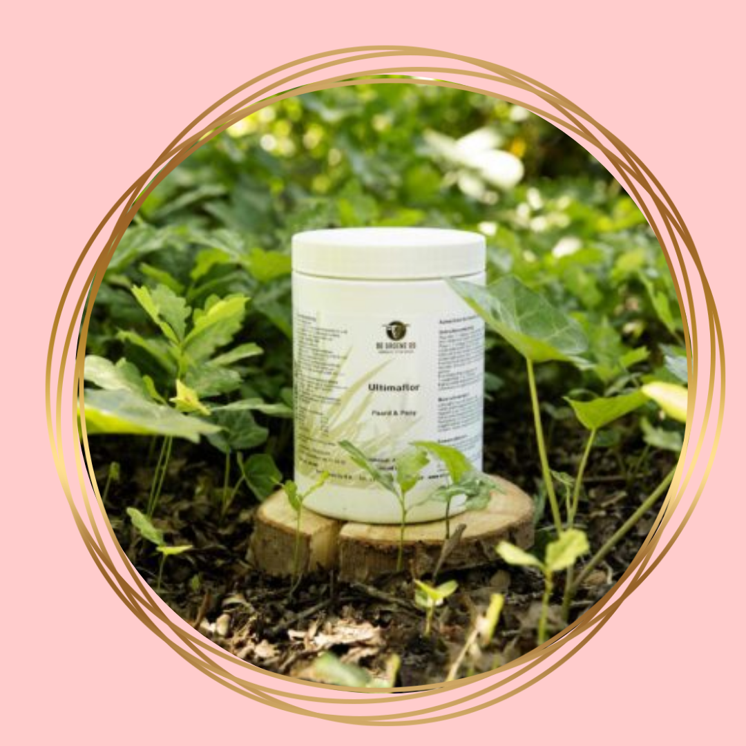 De Groene Os | Ultimaflor