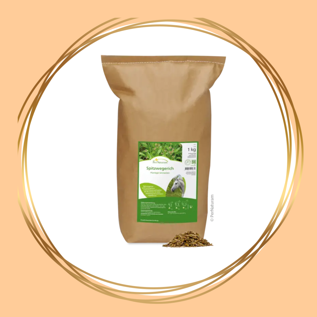 PerNaturam | Spitzwegerich (weegbree)