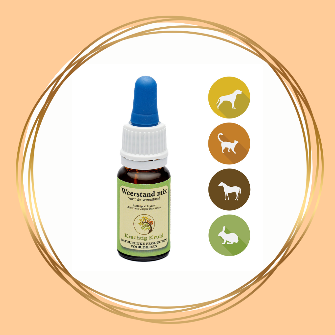 Krachtig Kruid | Weerstandmix