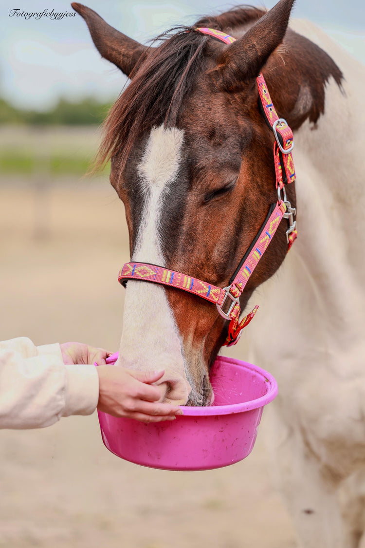 The Horse Tea Company - High-Tea met je paard!