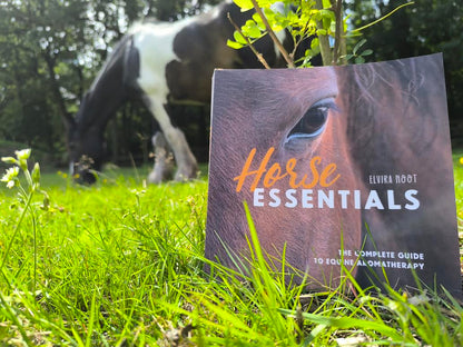Elvira Noot | Horse Essentials