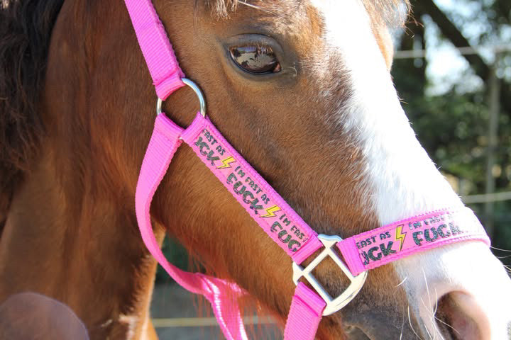 FMH - Nylon roze halster ‘Fast as F*CK’