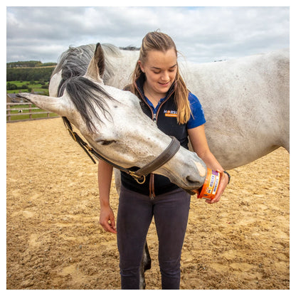 Horslyx - Leckstein Horslyx Mini