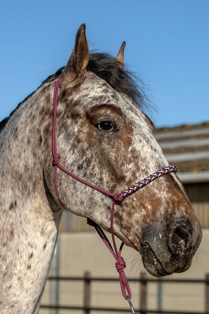 Rope halter with braided noseband dark blue, beige and burgundy
