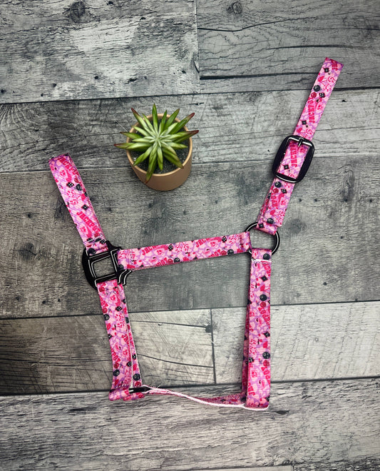 Schulz Equine - Halter Jackpot