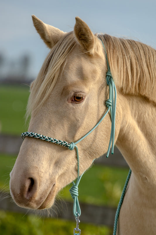 Rope halter with braided noseband sea green, cream and dark green